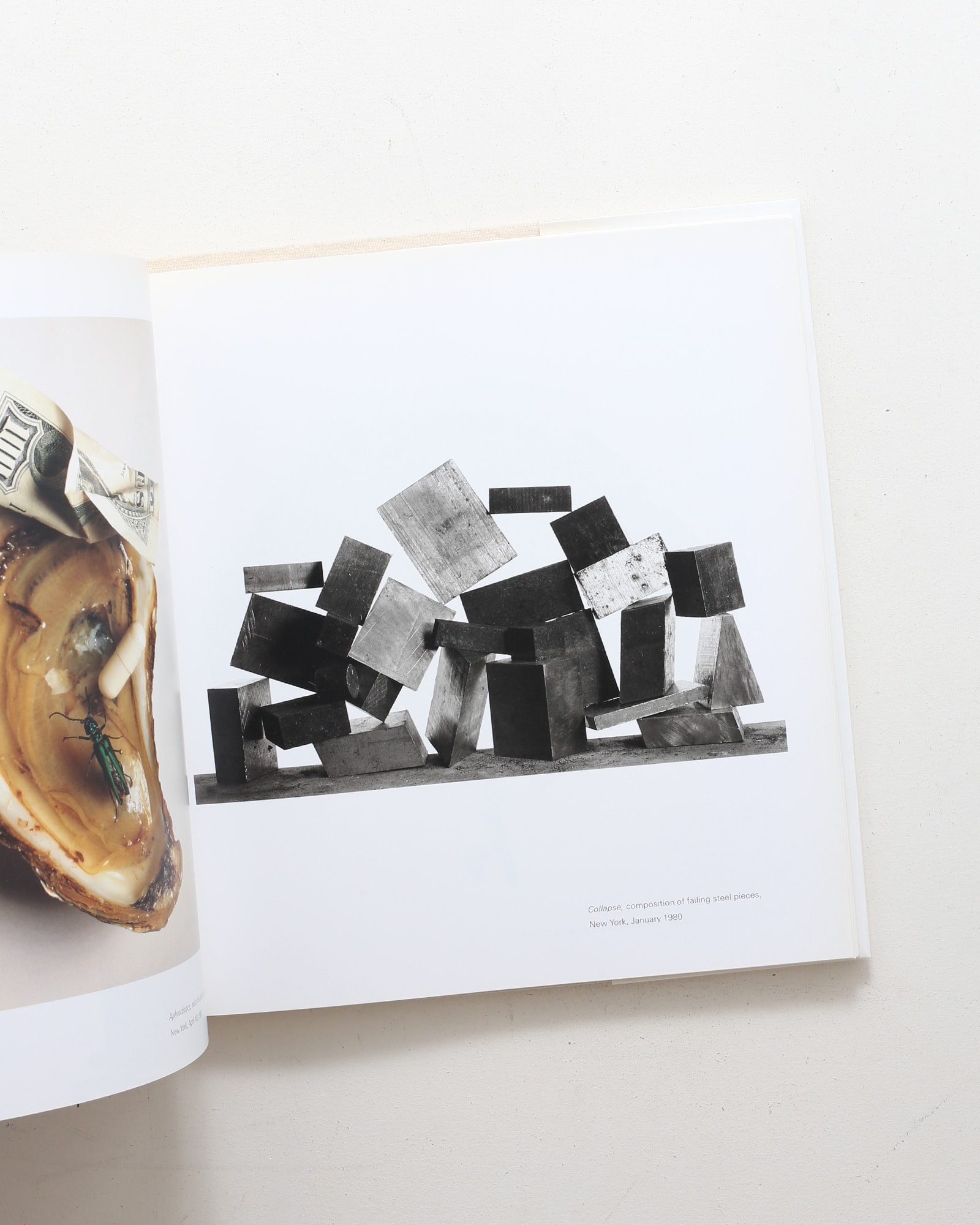 Still Life | Irving Penn | nostos books ノストスブックス