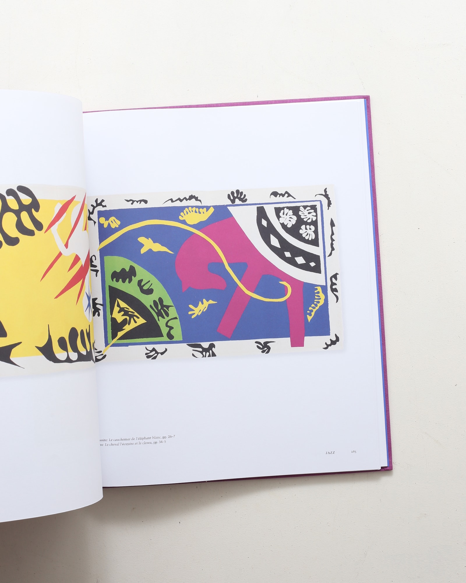 Matisse: The Books | アンリ・マティス | nostos books ノストスブックス