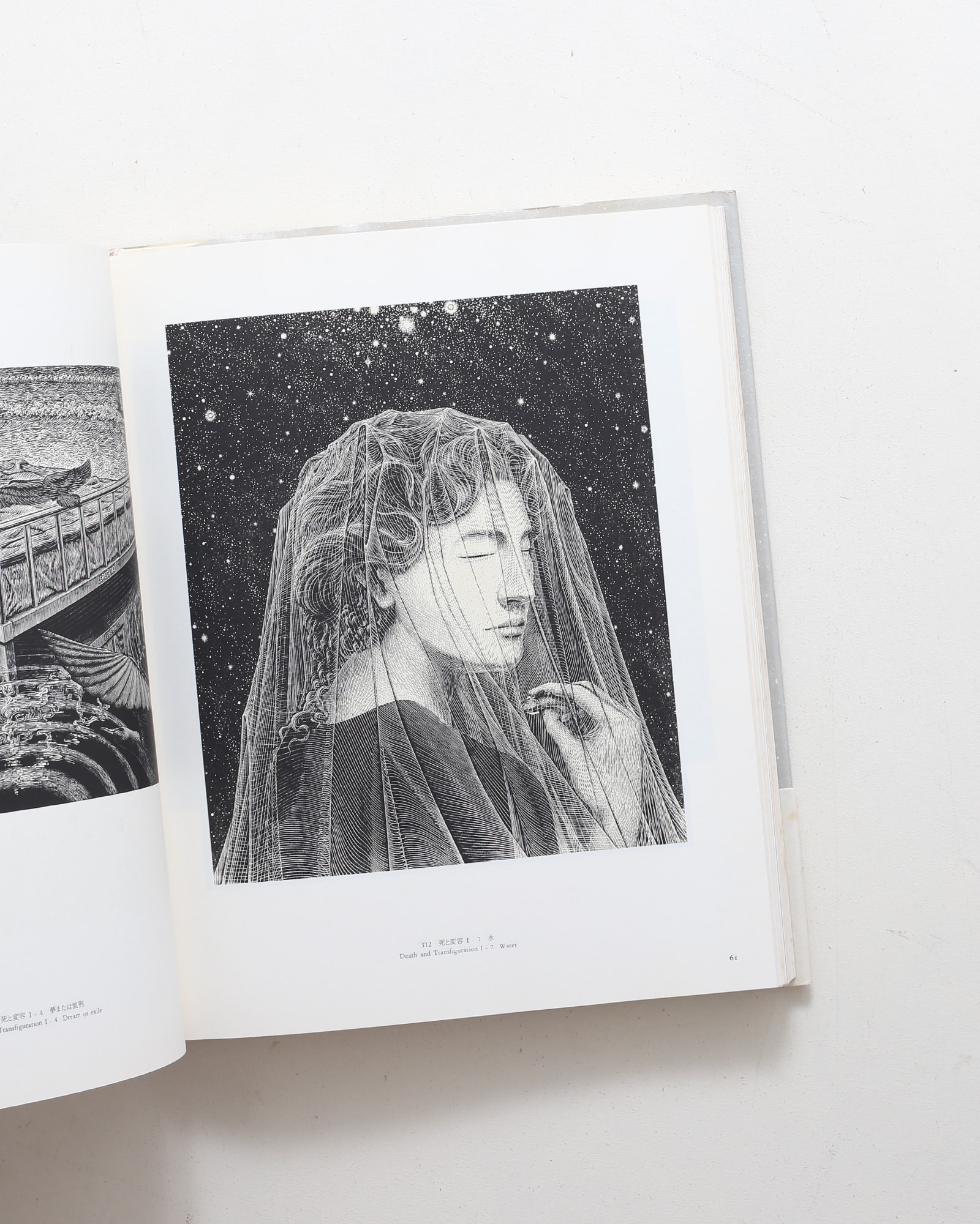 柄澤齊 木口木版画集 | 阿部出版 | nostos books ノストスブックス