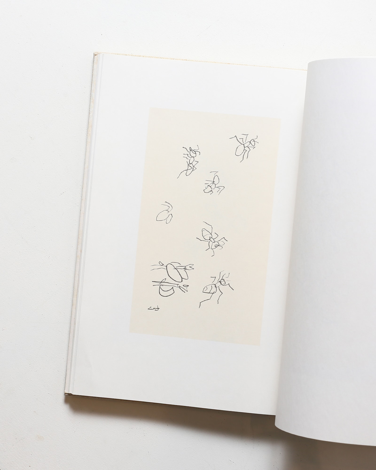 熊谷守一 クロッキー集 鳥獣虫魚 | 神無書房 | nostos books ノストス