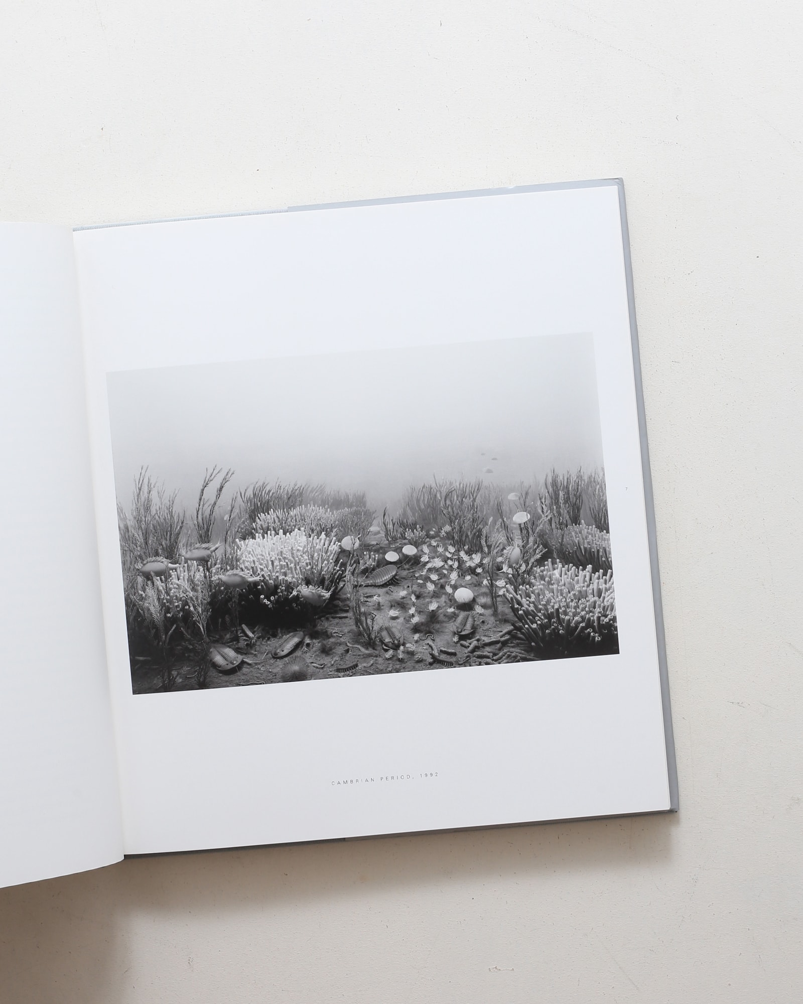 Dioramas | Hiroshi Sugimoto | nostos books ノストスブックス