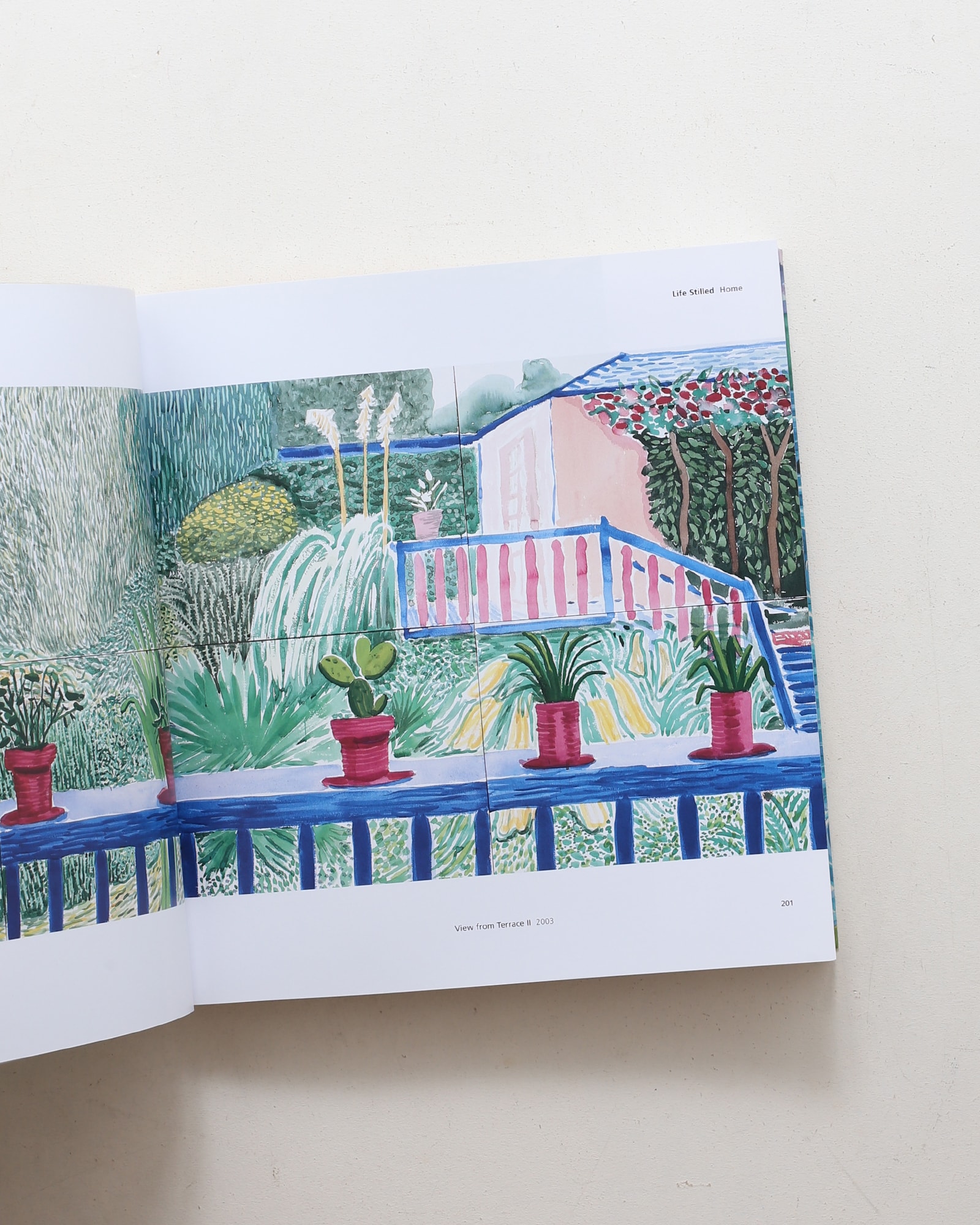 Hockney's Pictures ペーパーバック版 | nostos books ノストスブックス