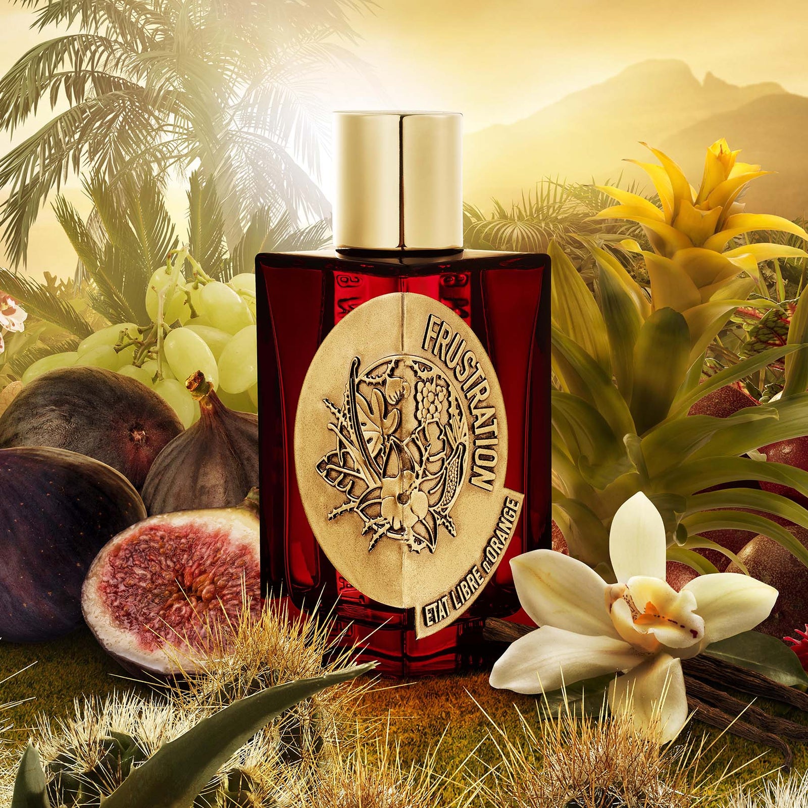 フラストレーション｜不満足 – NOSE SHOP