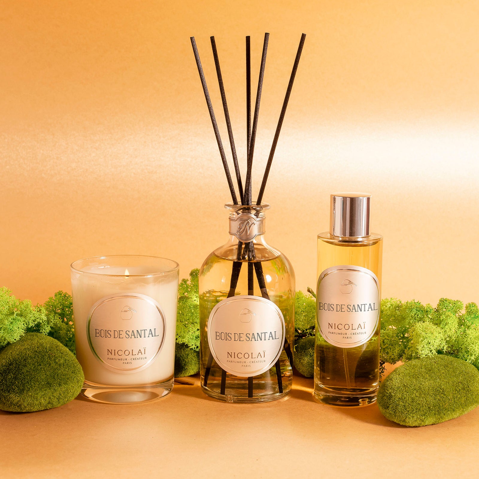 ボワ ドゥ サンタル｜サンダルウッドの森 – NOSE SHOP