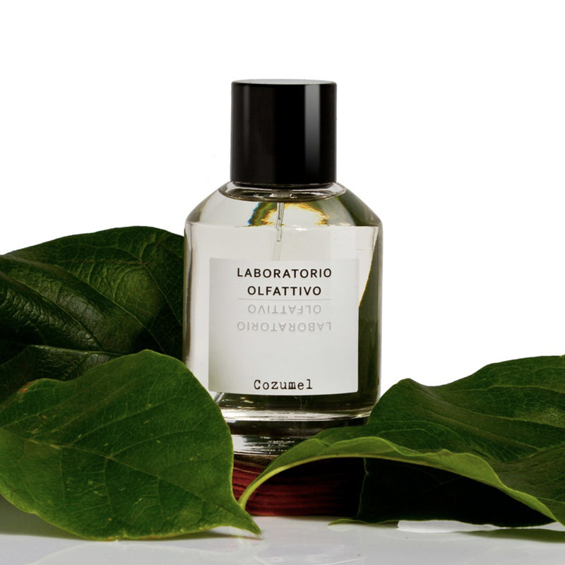 コズメル – NOSE SHOP