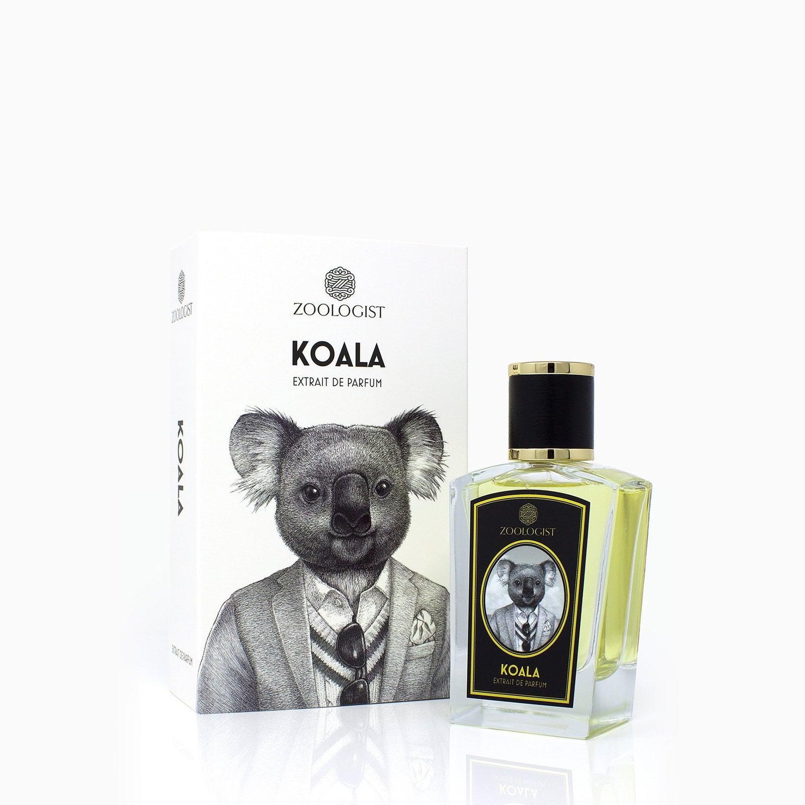 コアラ｜コアラ – NOSE SHOP