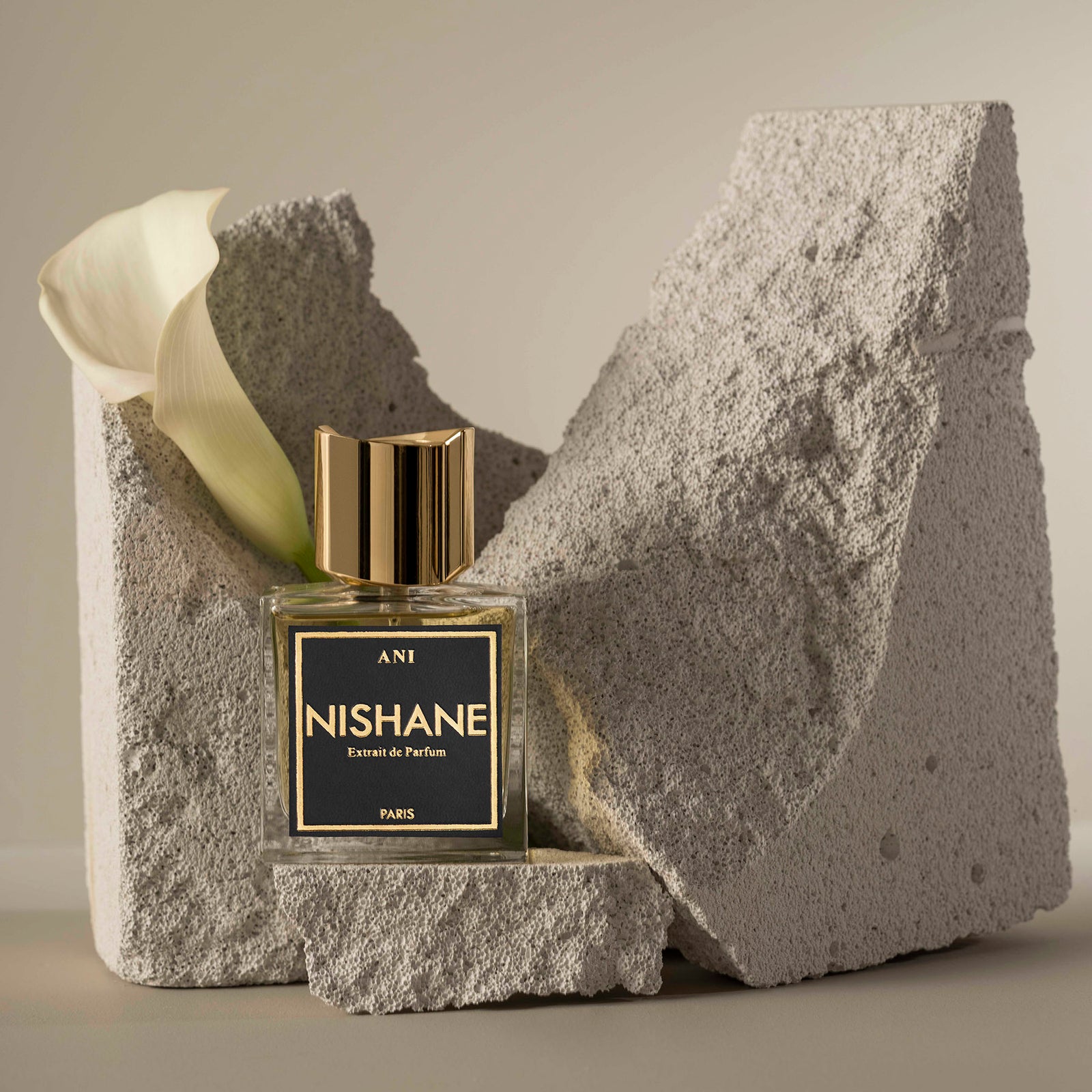 ani_1600x.jpg?v=1661859262