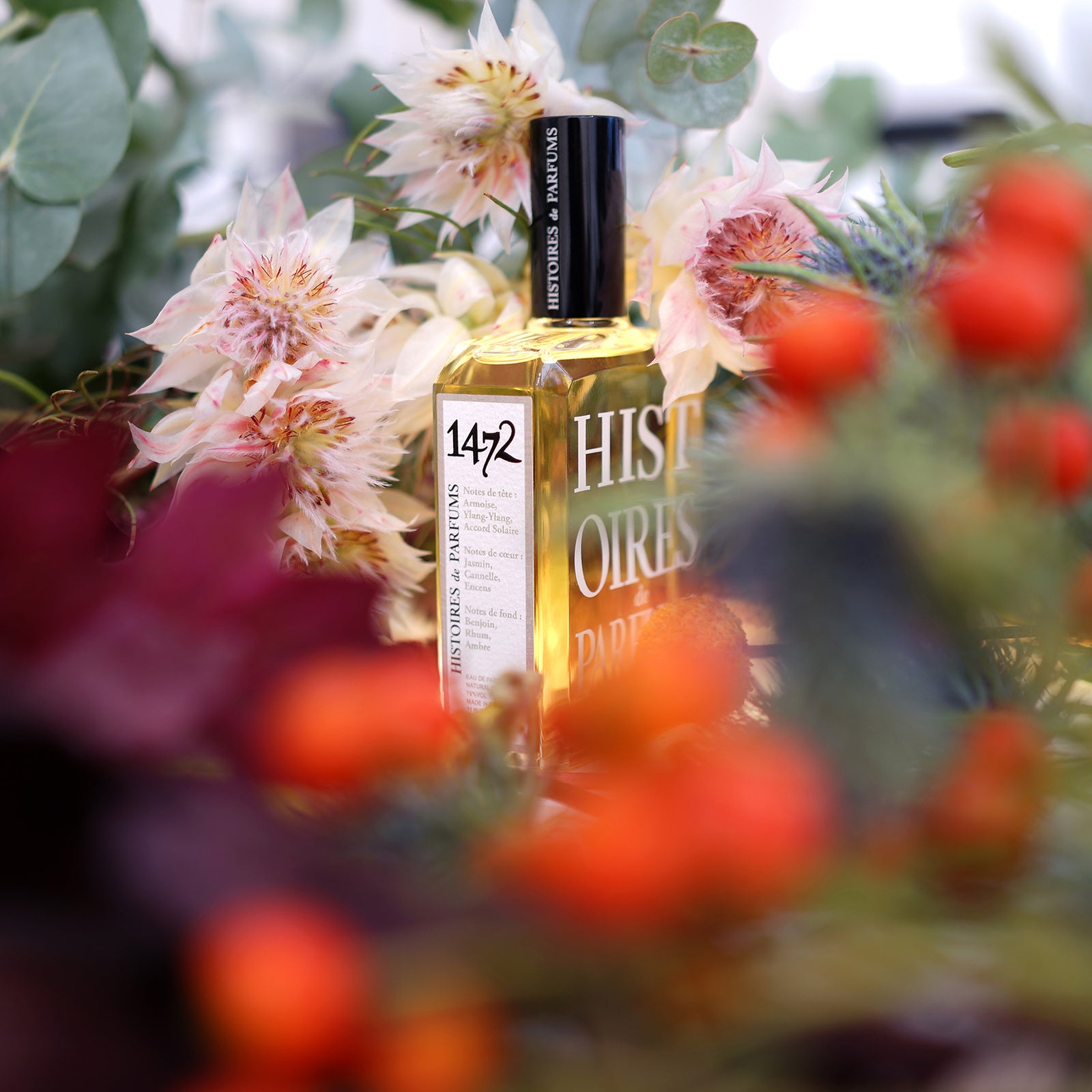 1472｜神曲 – NOSE SHOP