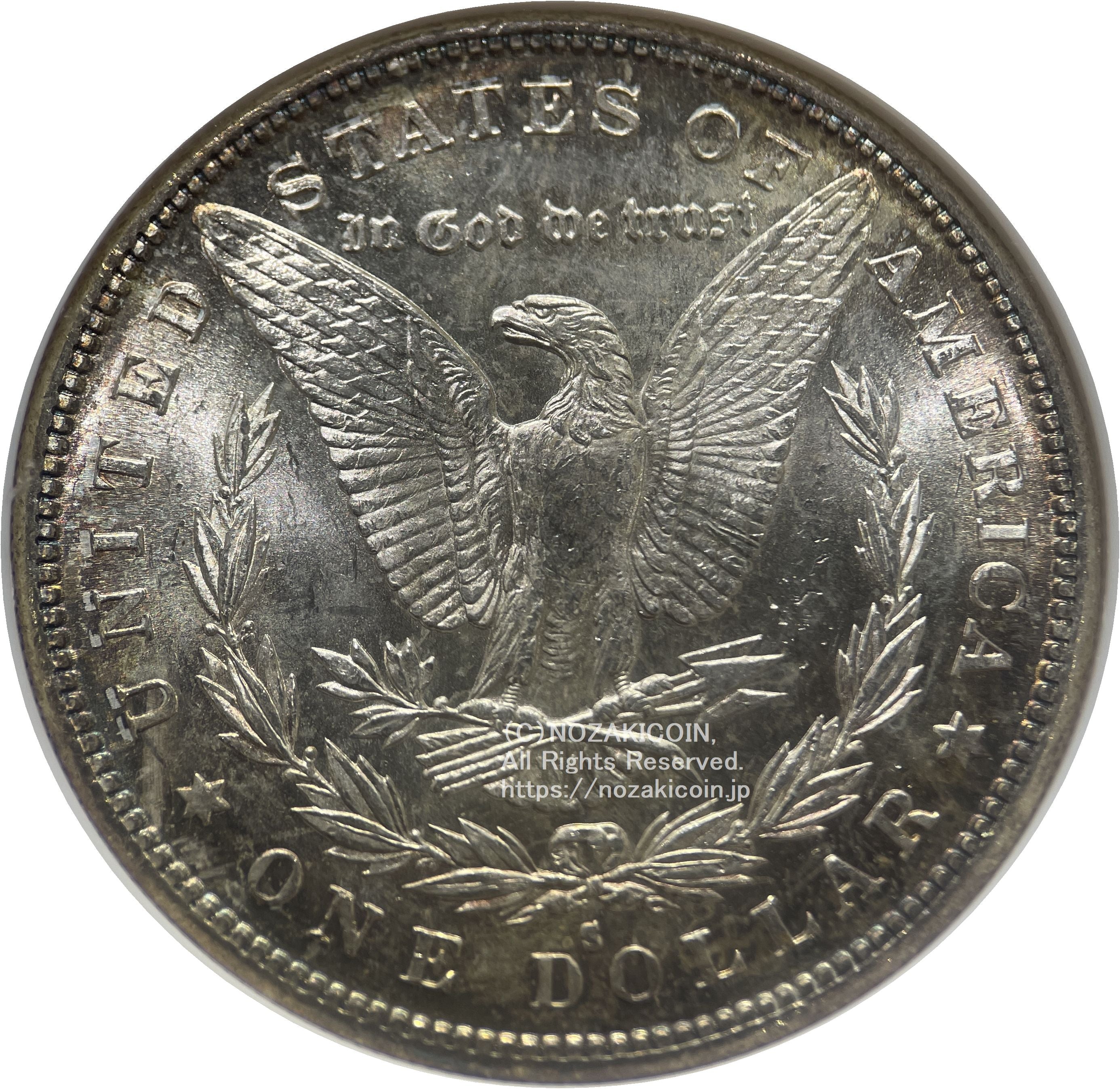 IMG_5484.jpg?v=1697179475