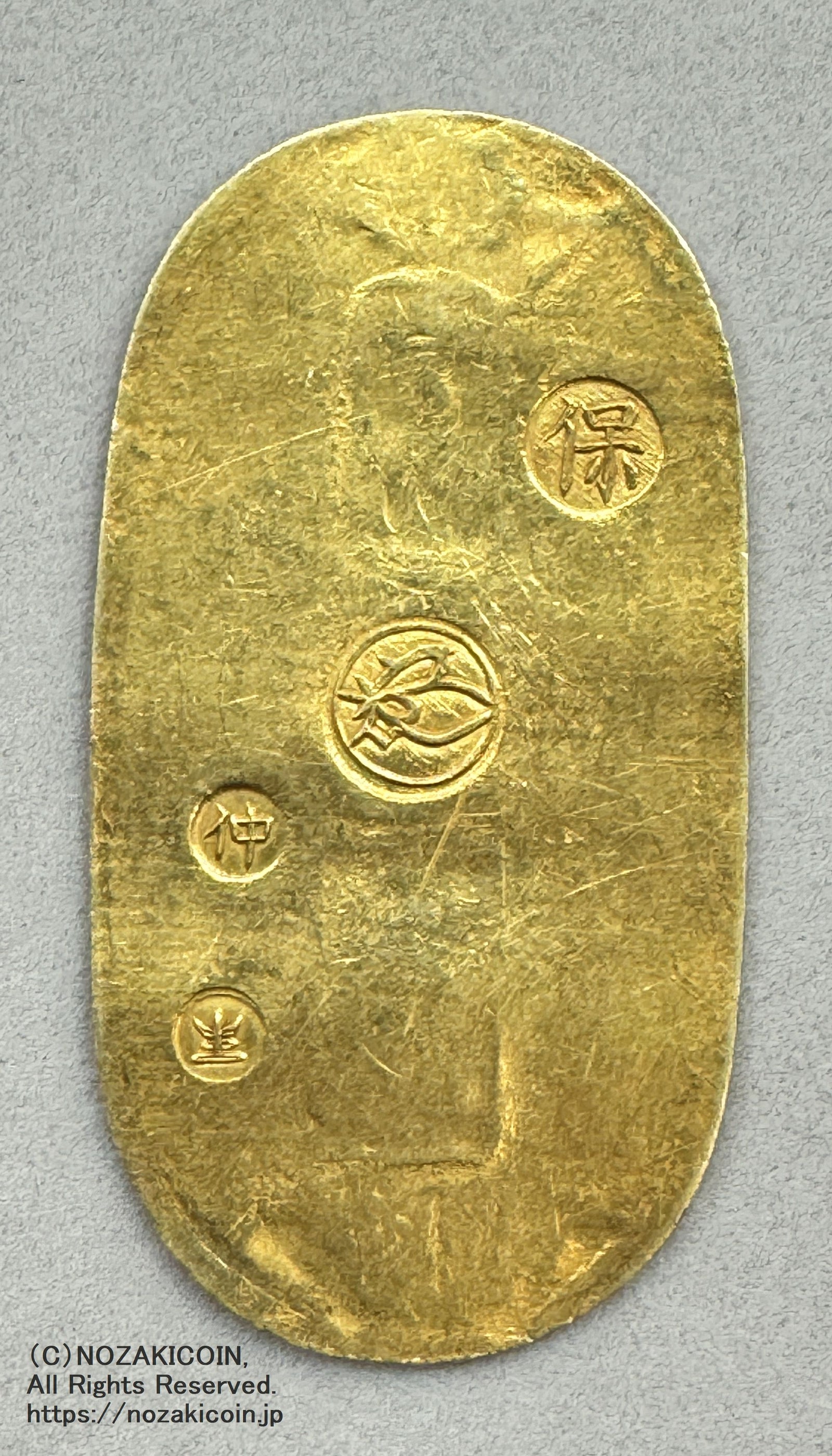 IMG_7554_1600x.jpg?v=1719300209