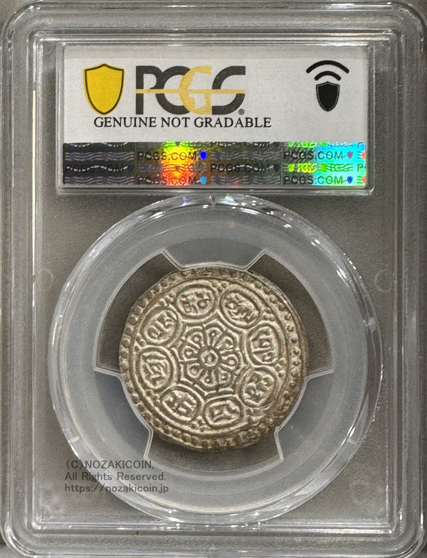 チベット – 2ページ目 – 野崎コイン