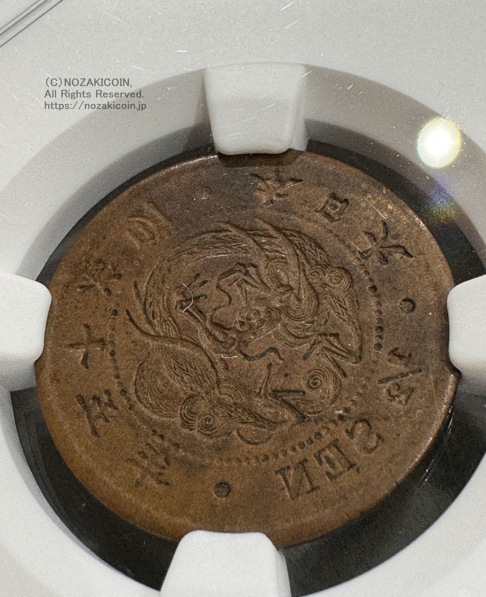 IMG_9293_1600x.jpg?v=1730100443