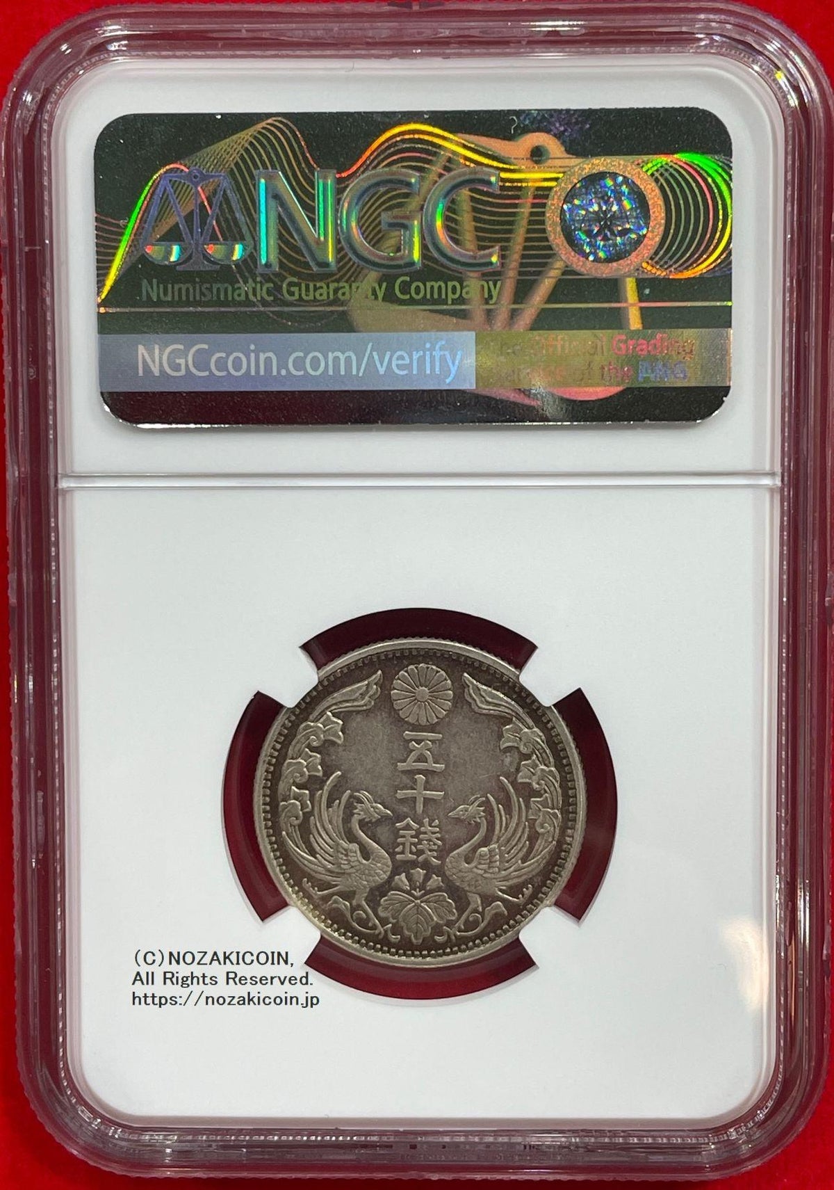 IMG_1551_1200x.jpg?v=1689655776