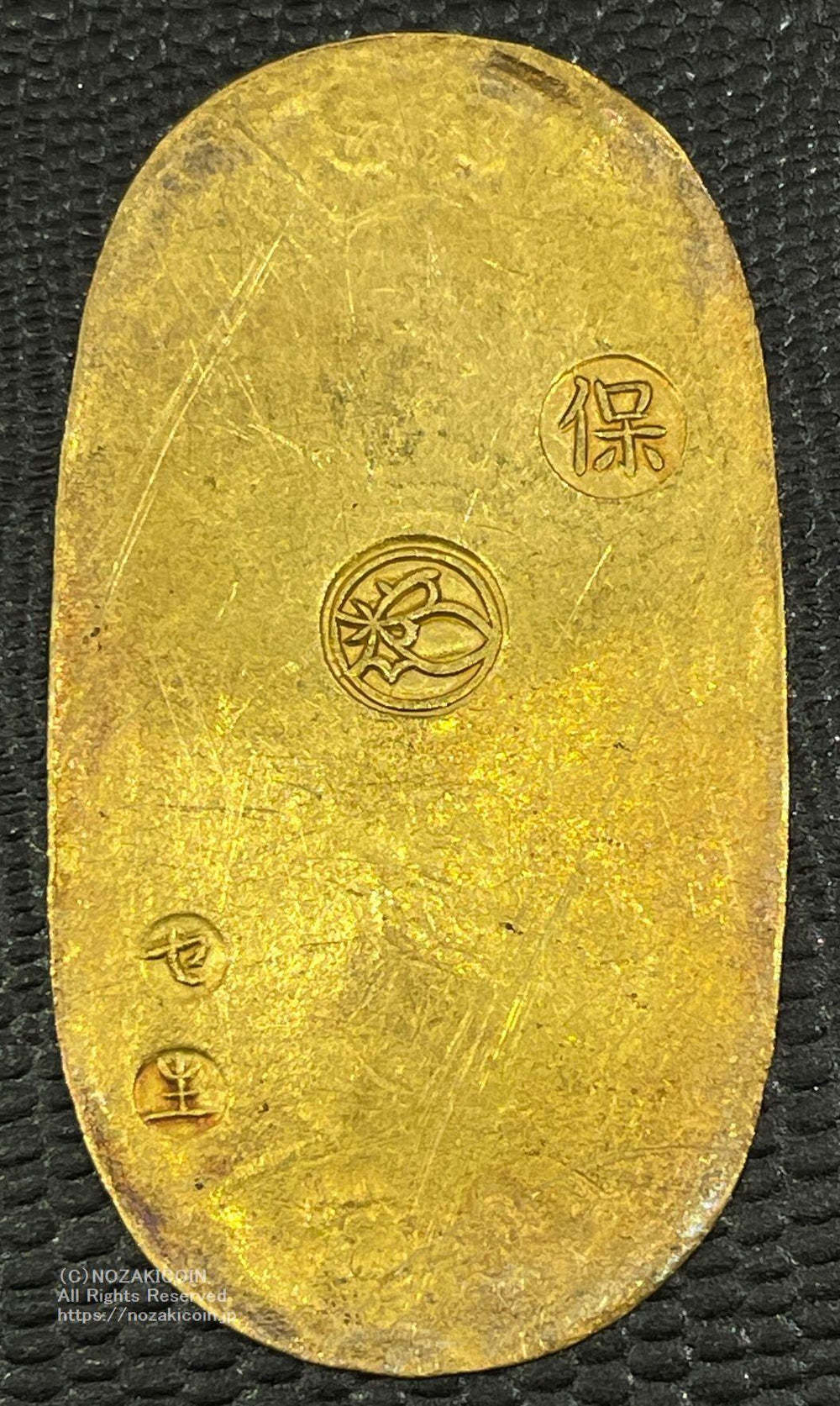 IMG_2868_1000x.jpg?v=1689655885