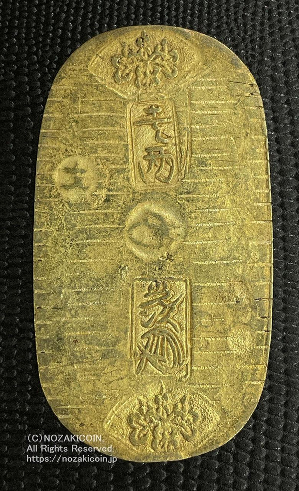 IMG_3111_600x.jpg?v=1689655907