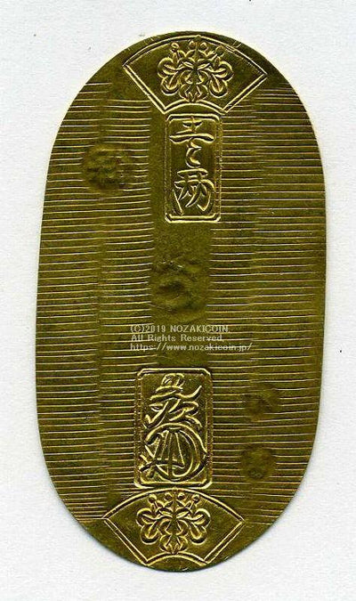 imgh879_1_400x.jpg?v=1689654623