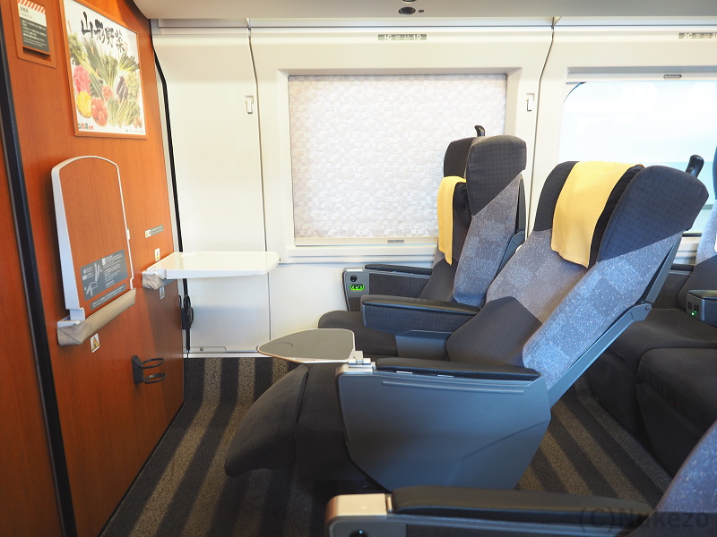 E3系2000番台「つばさ」 グリーン車 車内の様子を紹介 座席・デッキの