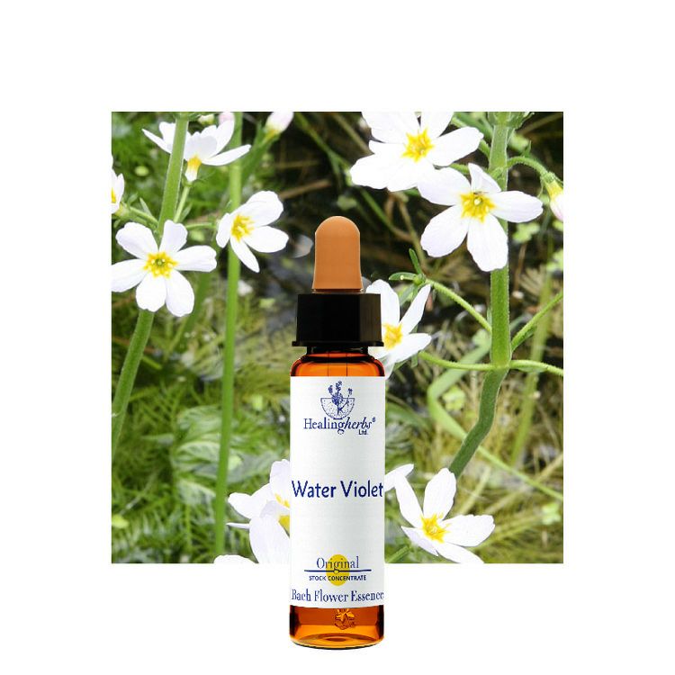 ヒーリングハーブスフラワーエッセンス | ニールズヤード レメディーズ