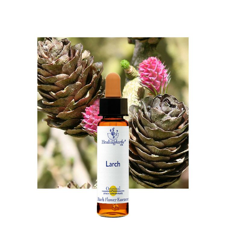 ヒーリングハーブスフラワーエッセンス | ニールズヤード レメディーズ