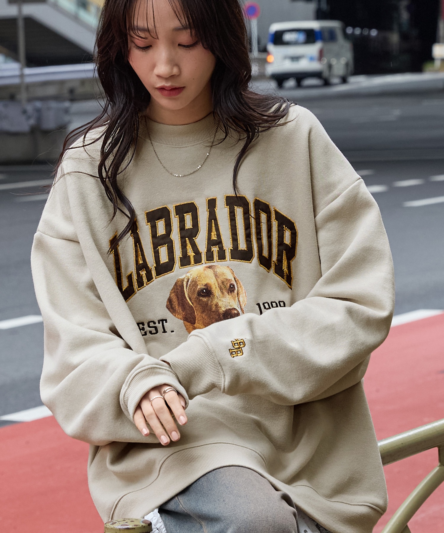 Labrador Retriever/ラブラドールレトリーバー 別注 カレッジロゴ刺繍