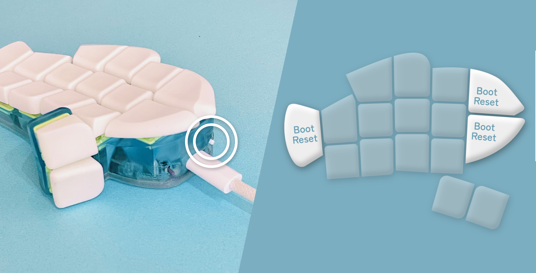 おさかなユーザーガイド