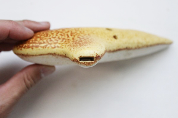 さくら工房オカリナAC｜オカリナハウス