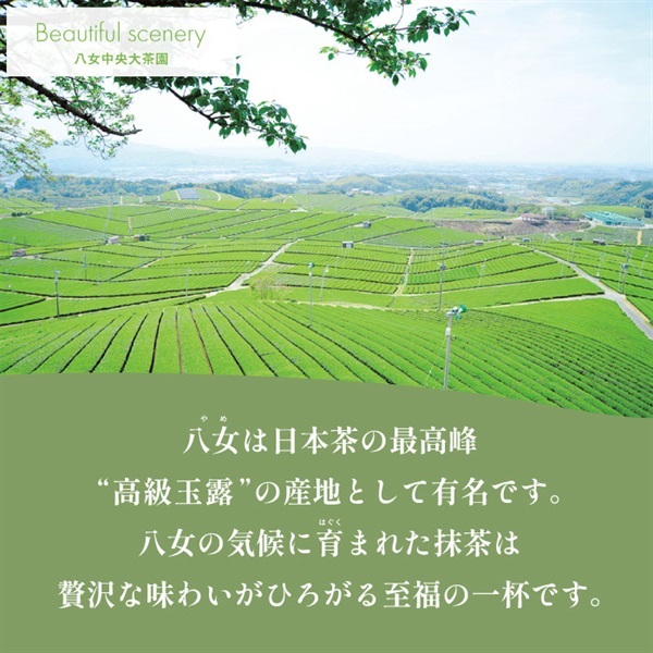 商品詳細ページ