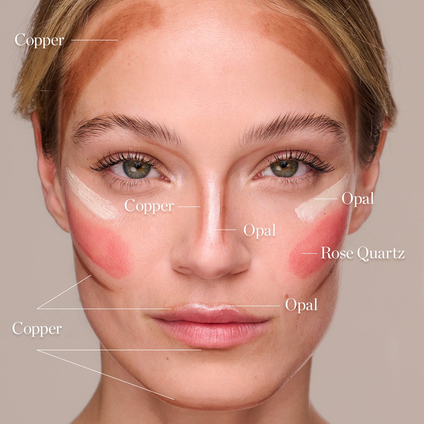 Contour Collections – Ogee