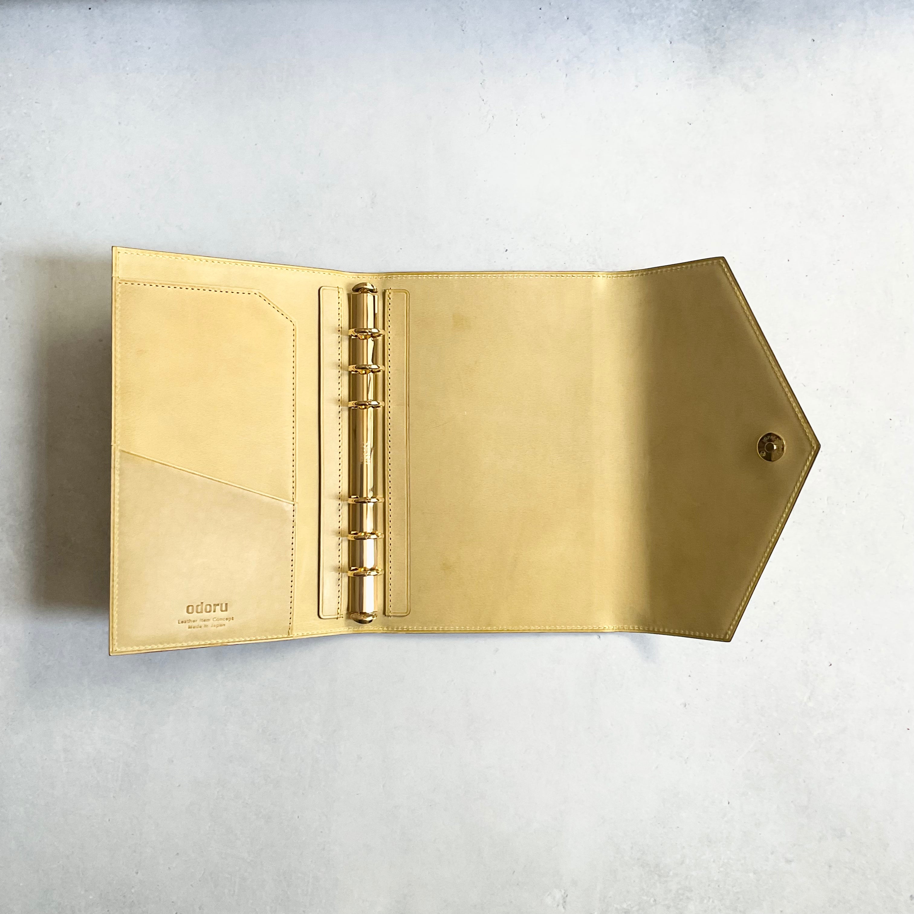 レッテラテンペスティバイブル 16mm ゴールドリング