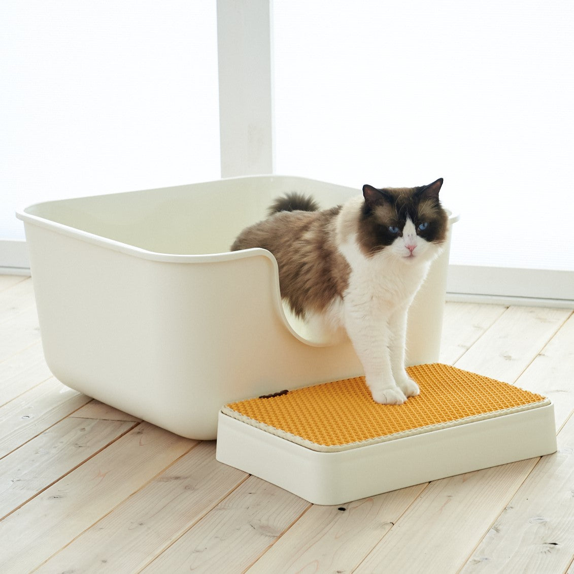 TALL WALL BOX 専用ステップ (L/XL/XL Plus共通) – OFT STORE