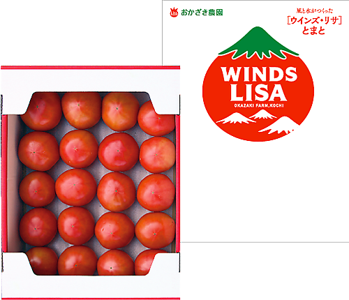 リサ・フルーツトマト【独自の酸味と甘み】 | 高知県おかざき農園