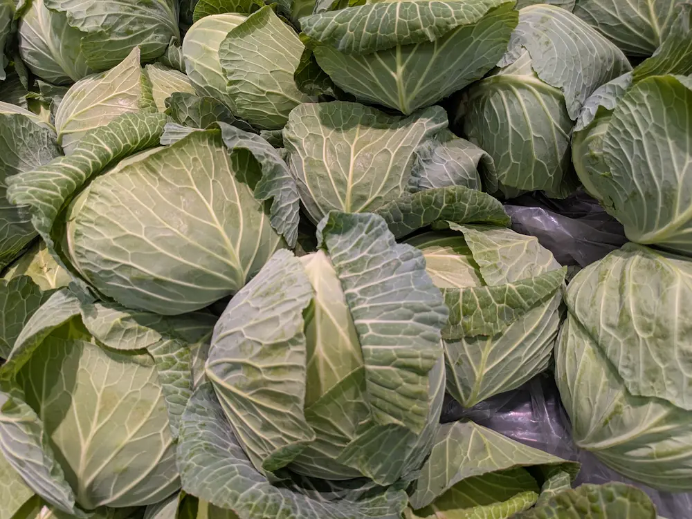 ひがよど情報】キャベツが高騰！東淀川区の値段は？いろいろなお店を見