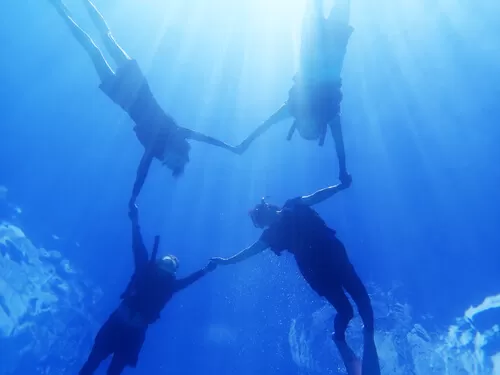 ビーチシュノーケリング（沖縄最北部・国頭村オクマ）｜オクマナビ