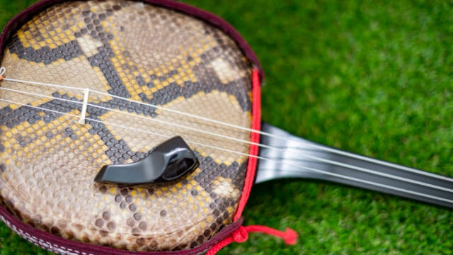 沖縄の伝統楽器「三線」のルーツを探る！歴史や由来を徹底解説 | 沖縄ナビ