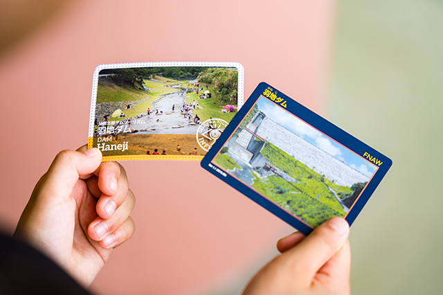 夏休みの自由研究にも！沖縄のダムに行ってみよう｜Laifue｜沖縄