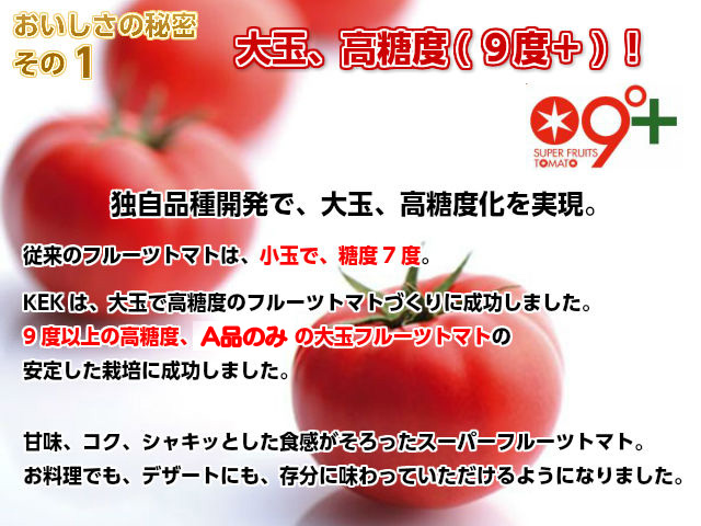 スーパーフルーツトマトの通販お取り寄せ