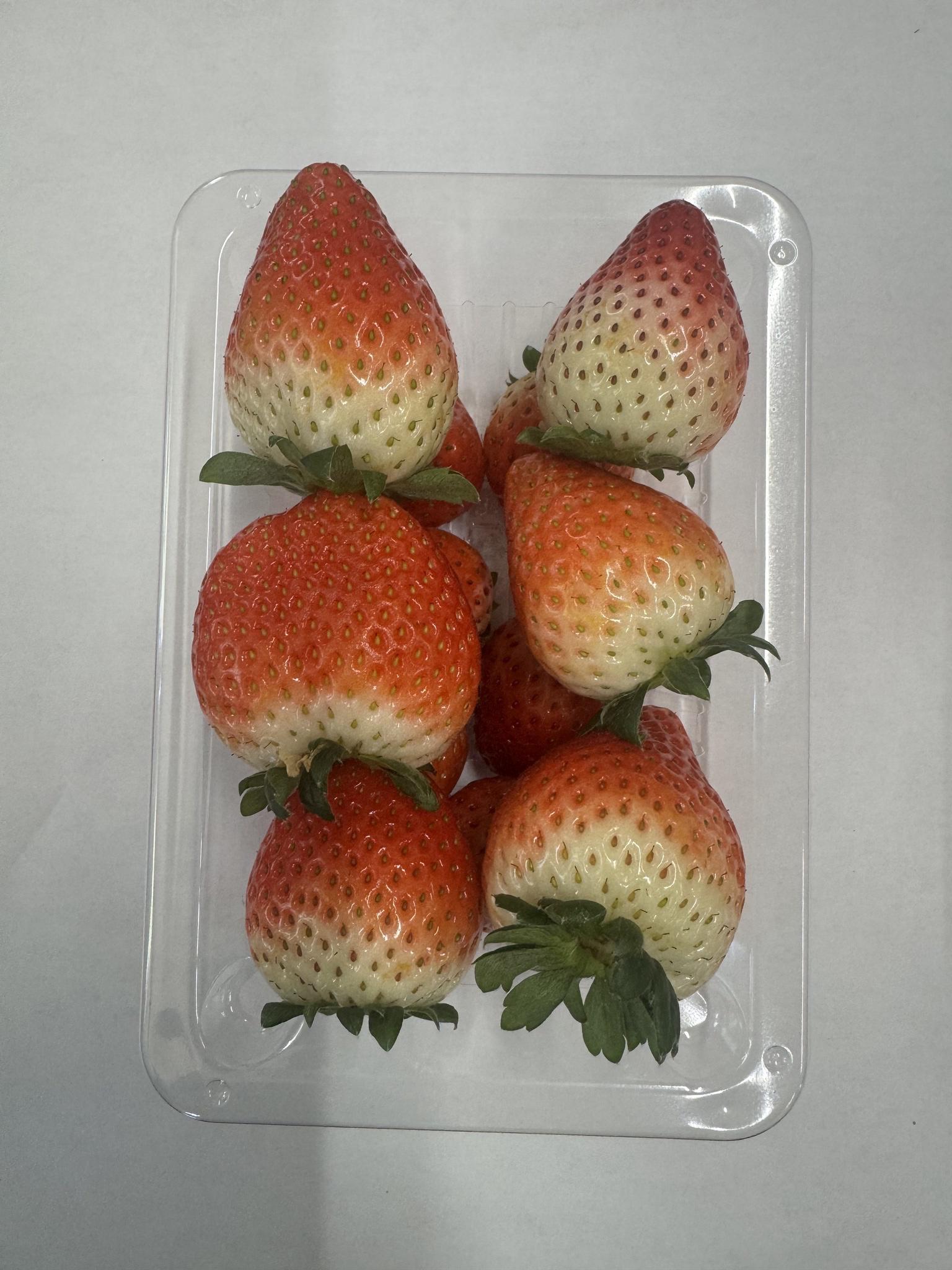 栃木おいしい会（いちご）｜有限会社 クロサワ（公式ホームページ）