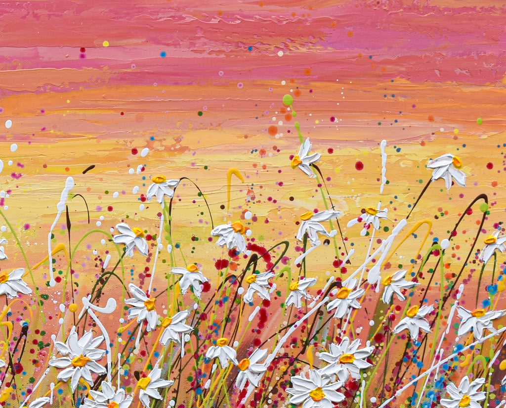 Daisy Field at Sunset, 24