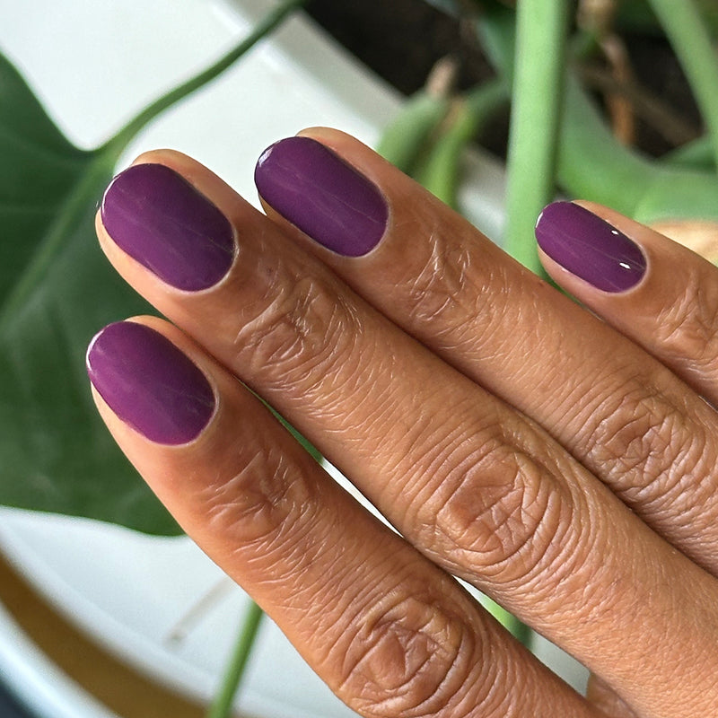 Who Likes Raisins? – Olive and June