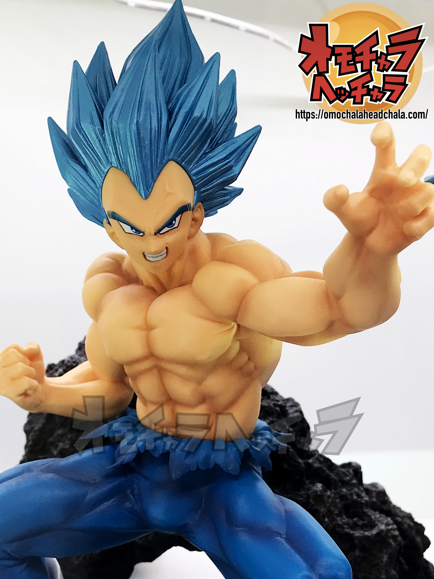 超サイヤ人ゴッド超サイヤ人ベジータ（進化）-展示品レビュー/レポート