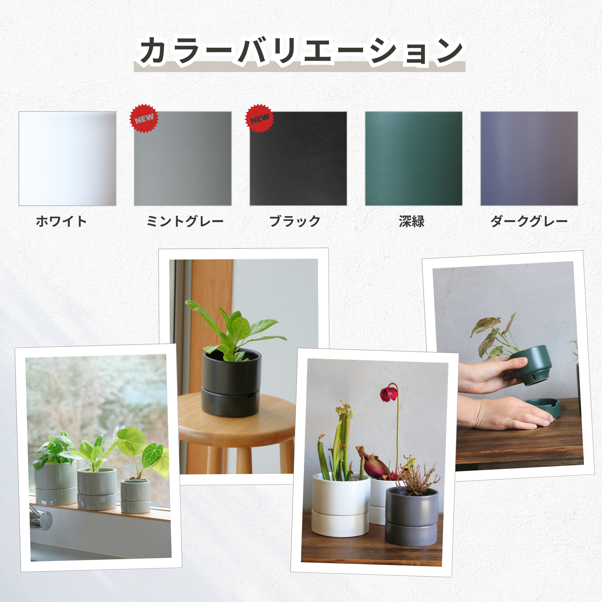 食虫植物・ハイドロカルチャーにぴったり｜陶器 植木鉢｜3号｜すーさん