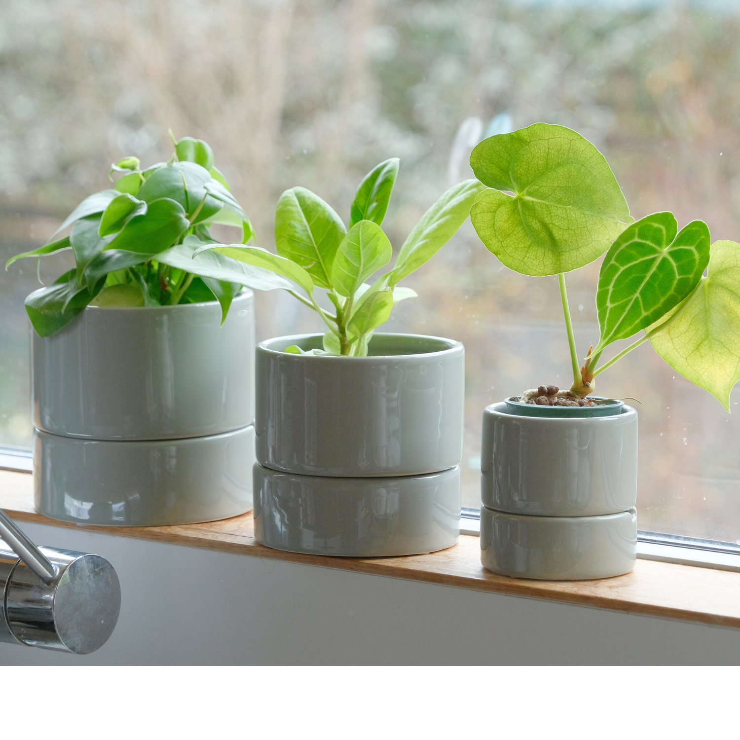 食虫植物・ハイドロカルチャーにぴったり｜陶器 植木鉢｜3号｜すーさん