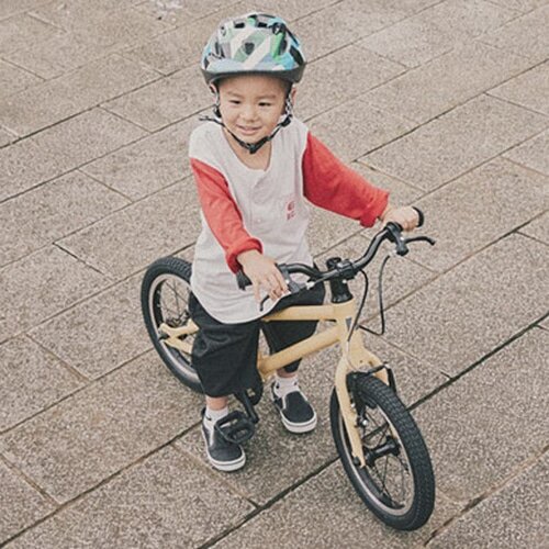 RITEWAY ( ライトウェイ ) キッズバイク ZIT 14 ( ジット 14 ) マット