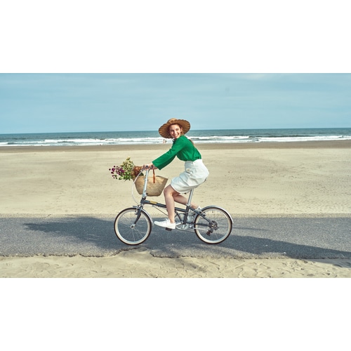 DAHON ( ダホン ) 折りたたみ自転車 BOARDWALK D7 ( ボードウォーク D7