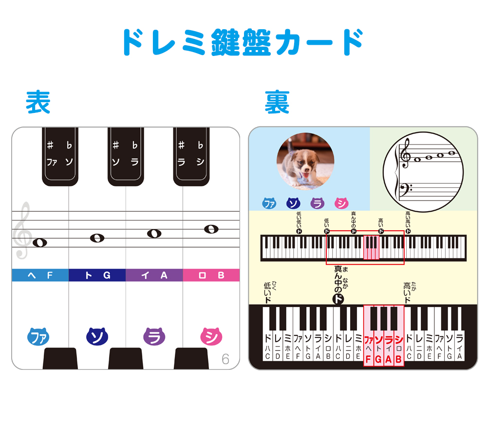 おんぷカードショップ / ドレミ鍵盤カード