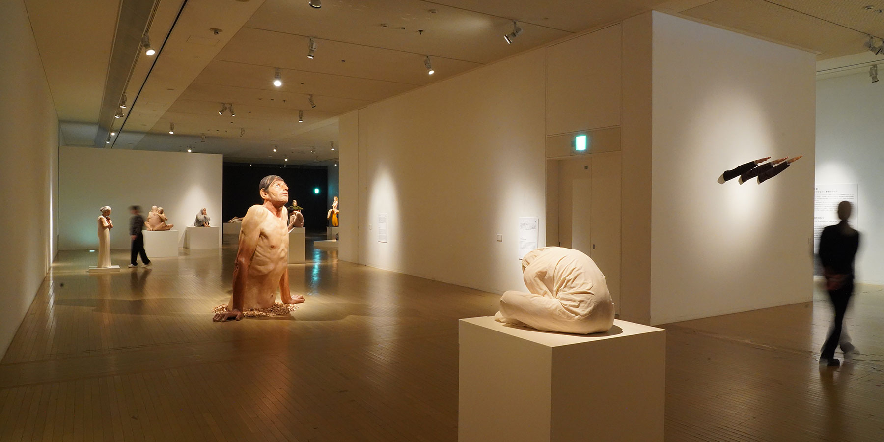 リシェイプド・リアリティ：ハイパーリアリズム彫刻の50年〈大阪文化館