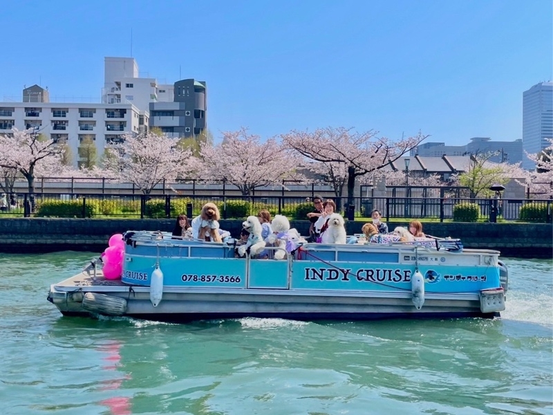 チケット販売 – クルーズ鑑賞/アクティビティ –｜OSAKA リバーファンタジー