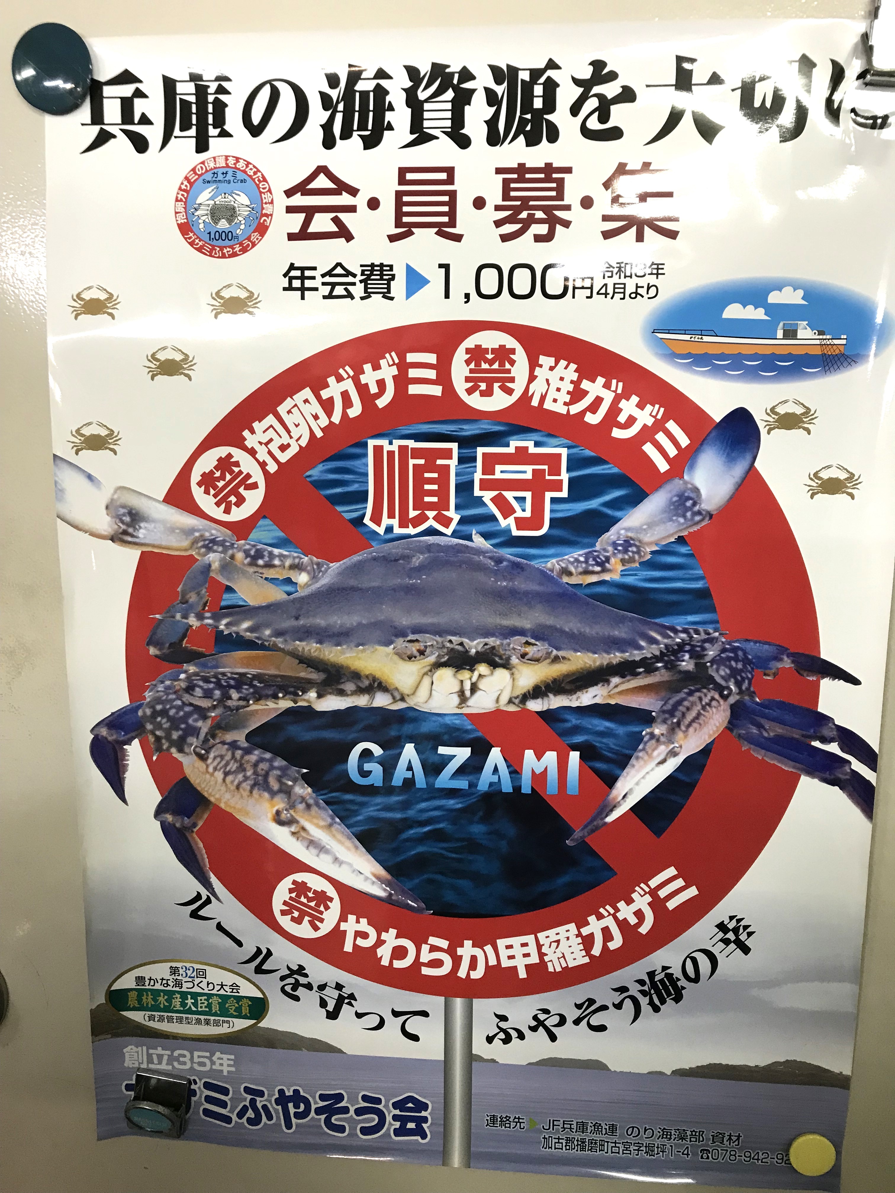 市場等で見かけるポスター カッコいい写真が多い！ | 魚食普及推進