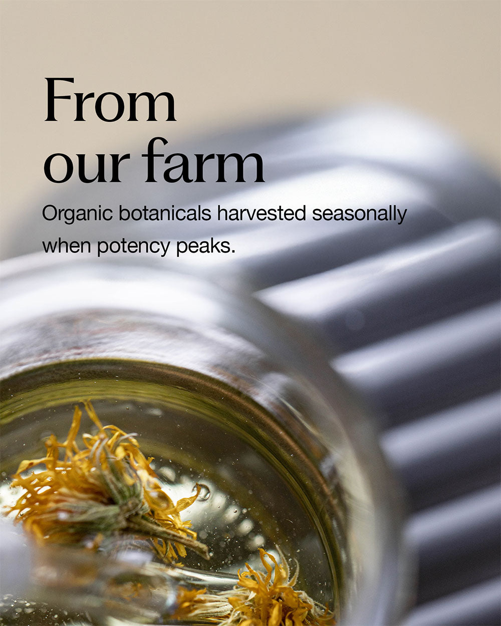 Flux Potion – Lightweight Styling Fluid for Shine & Definition