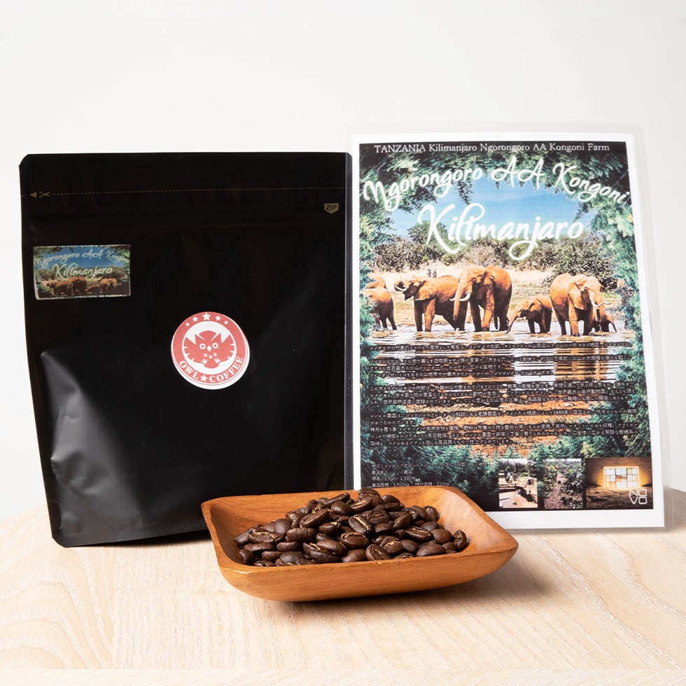 マイルド】タンザニア キリマンジャロ ンゴロンゴロ AA コンゴニ農園